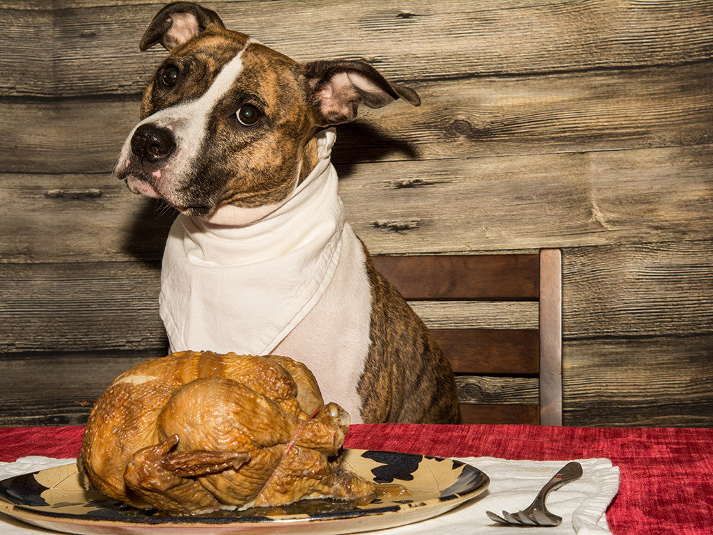 Xmas Dinners That Went Hilariously Wrong