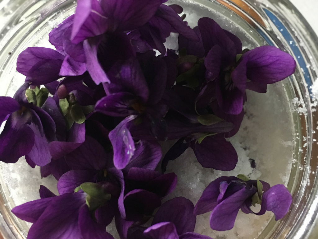Violet Sugar