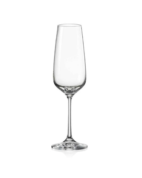 Giselle Champagne Glasses (Set of 6)