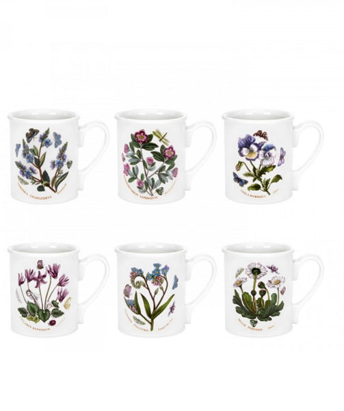 Botanic Garden Breakfast Mug Set/6