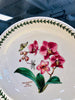 Botanic Garden Low Fruit Bowl
