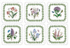 Pimpernel Coasters