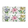 Pimpernel Coasters