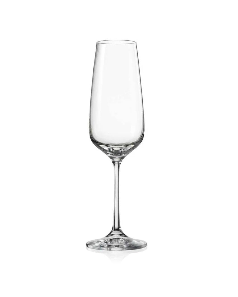 Giselle Champagne Glasses (Set of 6)