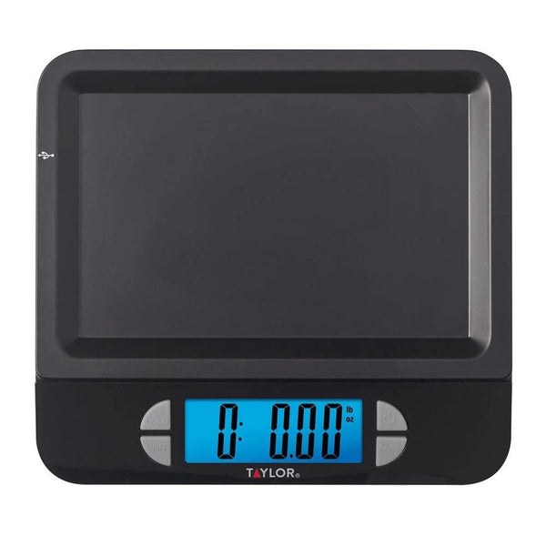 Taylor Rechargeable Scale